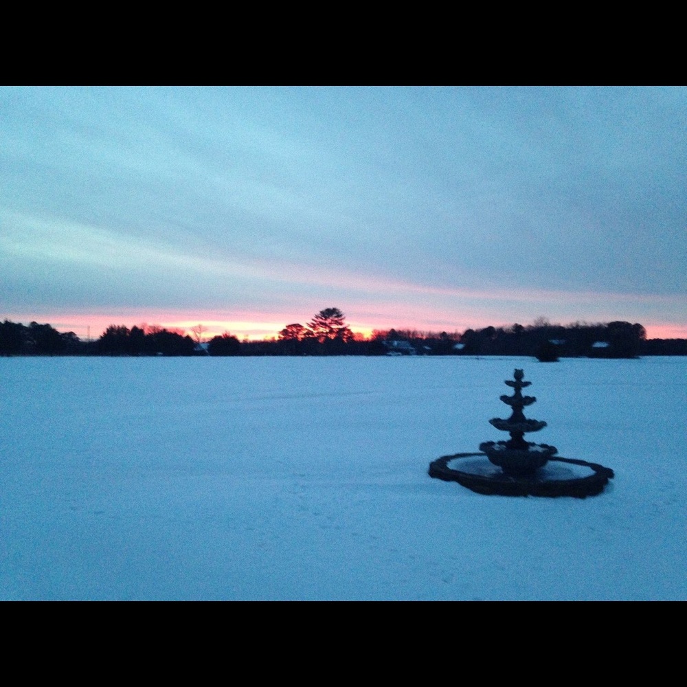 Meet your Posher, Natasha